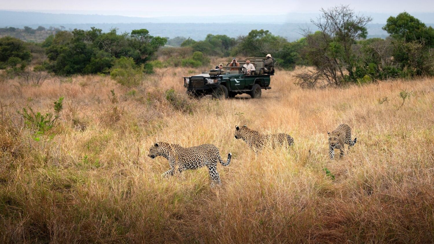 PlaceholderImage1302